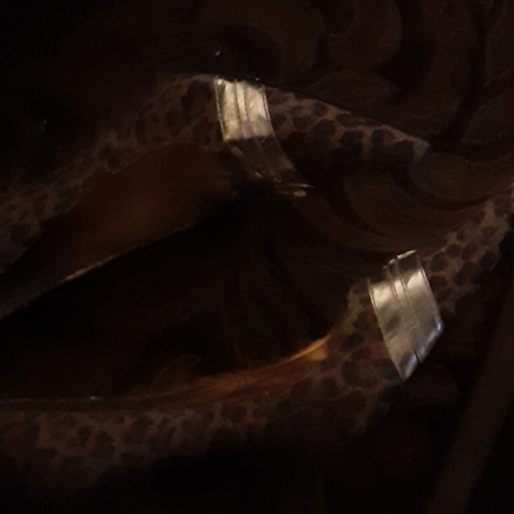 Shoes - Picture 2 of 4